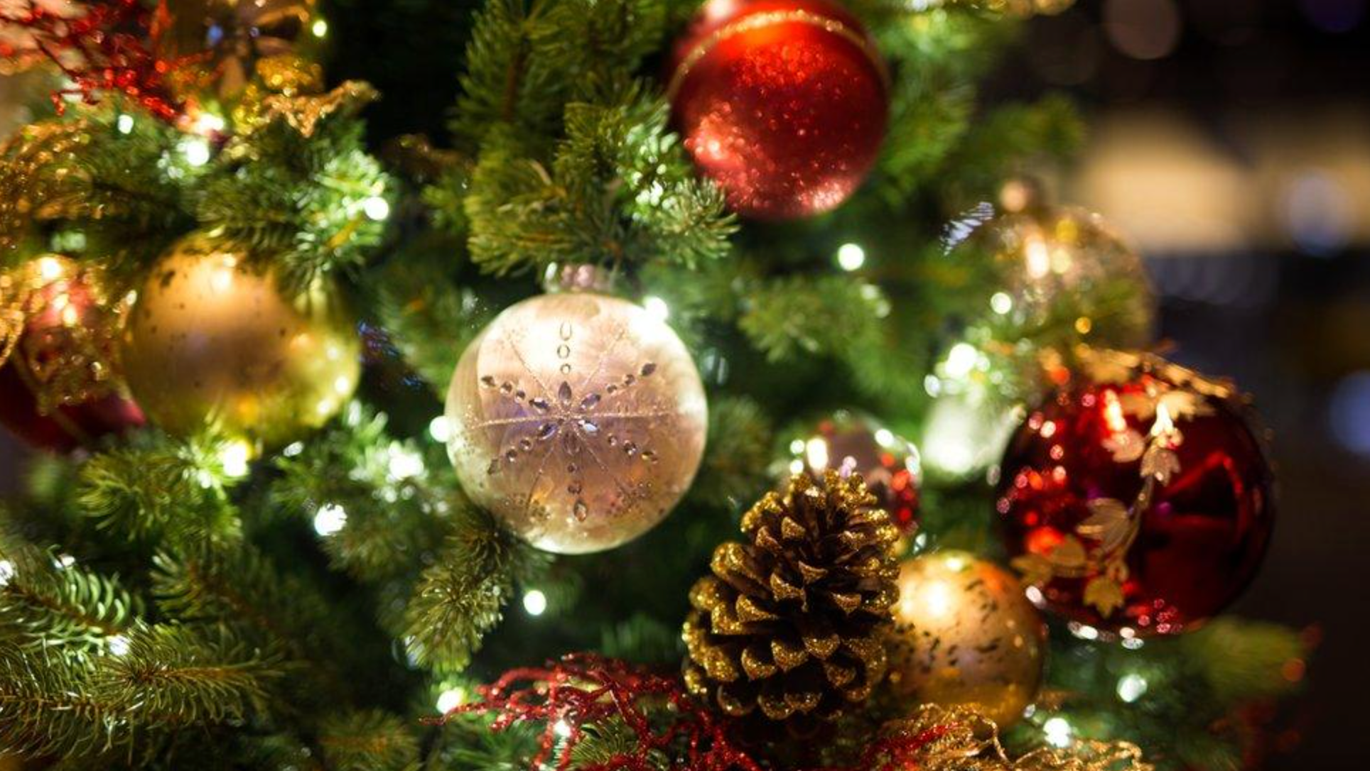 Traiteur Noël Capbreton
