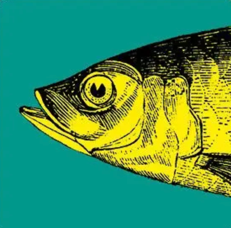 Sous-verre Sardine